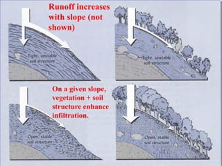 Runoff increases
with slope (not
shown)
On a given slope,
vegetation + soil
structure enhance
infiltration.
 