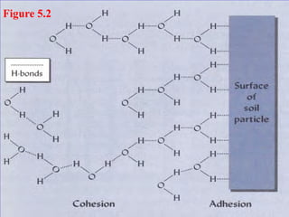 Figure 5.2
 