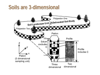 Soil Landscape Unit or Delineated Soil Body
Polypedon One
Polypedon Two
Solum
excludes
C
Profile
includes CBt
E
A
C
Pedon
(3 dimensional
sampling unit)
x
y
z
Two
dimensional
Pedon
Profile
Three
dimensional
Soils are 3-dimensional
 