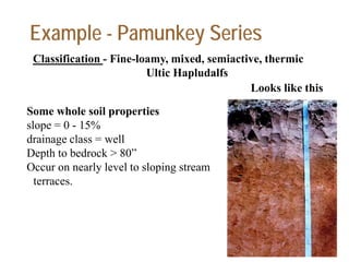 Example - Pamunkey Series
Classification - Fine-loamy, mixed, semiactive, thermic
Ultic Hapludalfs
Looks like this
Some whole soil properties
slope = 0 - 15%
drainage class = well
Depth to bedrock > 80”
Occur on nearly level to sloping stream
terraces.
 