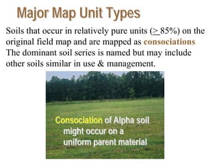 Major Map Unit Types
Soils that occur in relatively pure units (> 85%) on the
original field map and are mapped as consociations
The dominant soil series is named but may include
other soils similar in use & management.
Consociation of Alpha soil
might occur on a
uniform parent material
 