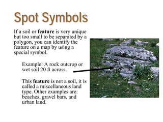 Spot Symbols
If a soil or feature is very unique
but too small to be separated by a
polygon, you can identify the
feature on a map by using a
special symbol.
Example: A rock outcrop or
wet soil 20 ft across.
This feature is not a soil, it is
called a miscellaneous land
type. Other examples are:
beaches, gravel bars, and
urban land.
 