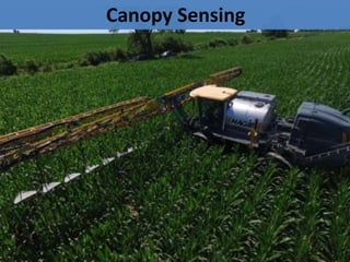 Canopy Sensing
 