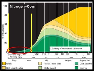 Courtesy of Iowa State Extension
 