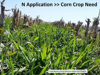 N Application >> Corn Crop Need
From Benton/Tama Nutrient Reduction Project
 