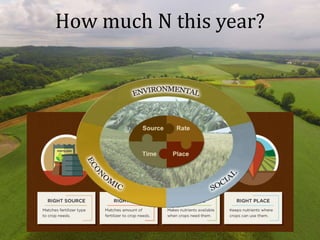 How much N this year?
 