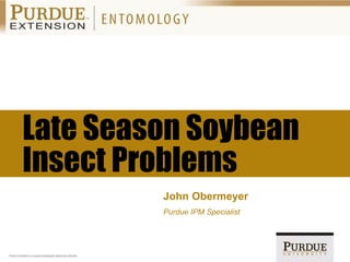 Purdue University is an equal access/equal opportunity institution.
Late Season Soybean
Insect Problems
John Obermeyer
Purdue IPM Specialist
 