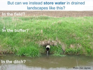 But can we instead store water in drained
landscapes like this?
Photo: Dan Jaynes
In the field?
In the buffer?
In the ditch?
 