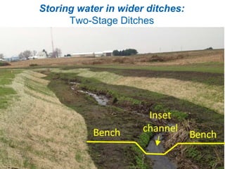 Storing water in wider ditches:
Two-Stage Ditches
 