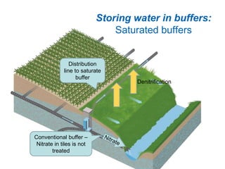 Storing water in buffers:
Saturated buffers
Distribution
line to saturate
buffer
Conventional buffer –
Nitrate in tiles is not
treated
Denitrification
 
