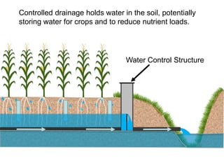 Water Control Structure
Controlled drainage holds water in the soil, potentially
storing water for crops and to reduce nutrient loads.
 