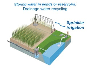 Sprinkler
irrigation
Storing water in ponds or reservoirs:
Drainage water recycling
 