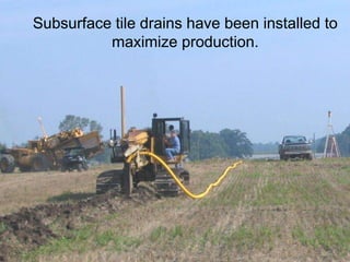 Subsurface tile drains have been installed to
maximize production.
 
