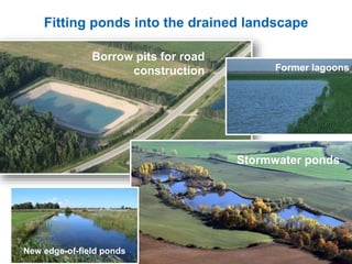 Fitting ponds into the drained landscape
Borrow pits for road
construction
Stormwater ponds
Former lagoons
New edge-of-field ponds
 