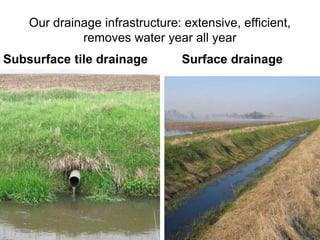 Our drainage infrastructure: extensive, efficient,
removes water year all year
Subsurface tile drainage Surface drainage
 