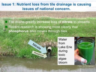 Issue 1: Nutrient loss from tile drainage is causing
issues of national concern.
 Tile drains greatly increase loss of nitrate to streams.
 Recent research is showing more clearly that
phosphorus also moves through tiles.
Water
from
Lake Erie
during
toxic
algae
bloom
Photo: Tom Bridgeman
 
