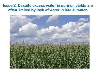 Issue 2: Despite excess water in spring, yields are
often limited by lack of water in late summer.
 