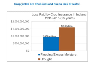 Crop yields are often reduced due to lack of water.
$0
$500,000,000
$1,000,000,000
$1,500,000,000
$2,000,000,000
1
Loss Paid by Crop Insurance in Indiana,
1991-2015 (25 years)
Flooding/Excess Moisture
Drought
$930 million
$1.6 billion
 