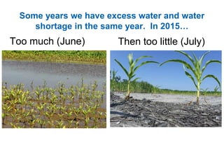 Some years we have excess water and water
shortage in the same year. In 2015…
Then too little (July)Too much (June)
 