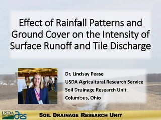 Dr Lindsay Pease Effect Of Rainfall Patterns And Ground Cover On The