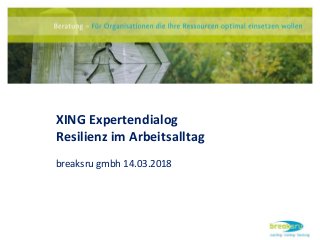 XING Expertendialog
Resilienz im Arbeitsalltag
breaksru gmbh 14.03.2018
 