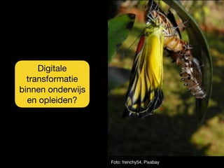 Foto: frenchy54, Pixabay
Digitale
transformatie
binnen onderwijs
en opleiden?
 