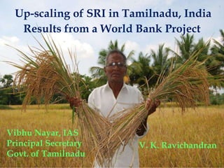 Up-scaling of SRI in Tamilnadu, India
Results from a World Bank Project
Vibhu Nayar, IAS
Principal Secretary
Govt. of Tamilnadu
1
V. K. Ravichandran
 