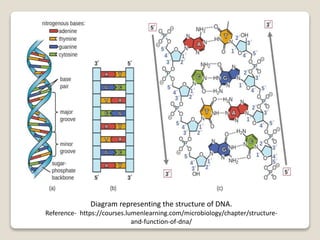 Dna Reference biometrics-ppt. | PPTX