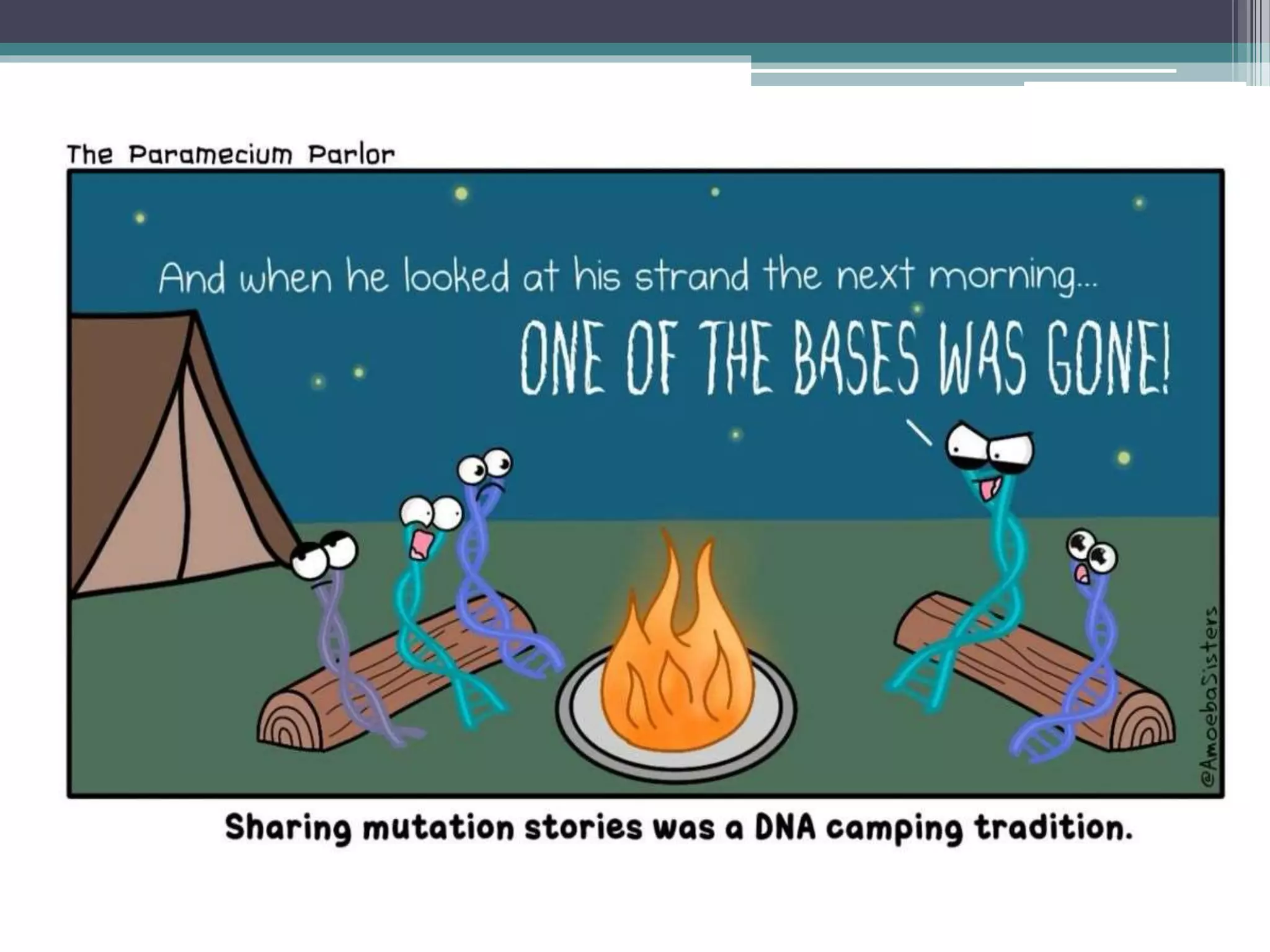 genetic mutations.ppt