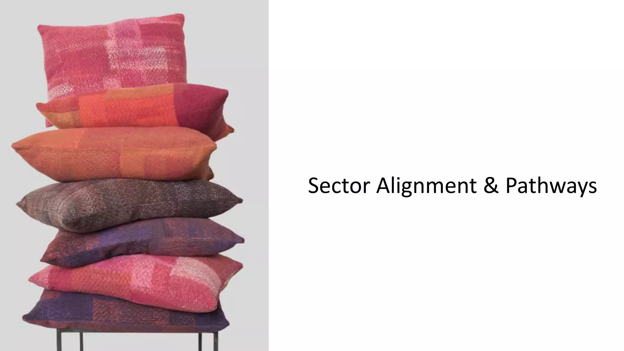 Sector Alignment & Pathways
 