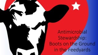 Antimicrobial
Stewardship:
Boots on the Ground
in the Feedyards
 