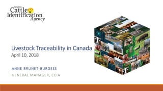 Livestock Traceability in Canada
April 10, 2018
ANNE BRUNET-BURGESS
GENERAL MANAGER, CCIA
 