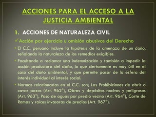 1. ACCIONES DE NATURALEZA CIVIL
Acción por ejercicio u omisión abusivos del Derecho
• El C.C. peruano incluye la hipótesis de la amenaza de un daño,
  señalando la naturaleza de los remedios exigibles.
• Facultando a reclamar una indemnización y también a impedir la
  acción productora del daño, lo que ciertamente es muy útil en el
  caso del daño ambiental, y que permite pasar de la esfera del
  interés individual al interés social.
• Normas relacionadas en el C.C. son; Las Prohibiciones de abrir o
  cavar pozos (Art. 962°), Obras y depósitos nocivos y peligrosos
  (Art. 963°), Paso de aguas por predio vecino (Art. 964°), Corte de
  Ramas y raíces invasoras de predios (Art. 967°).
 