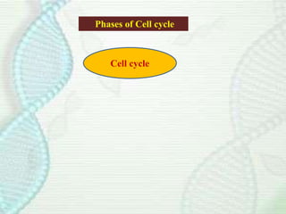 Cell cycle
Phases of Cell cycle
 