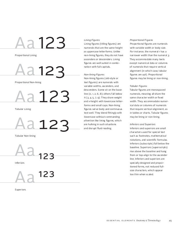 university essay write book your favourite