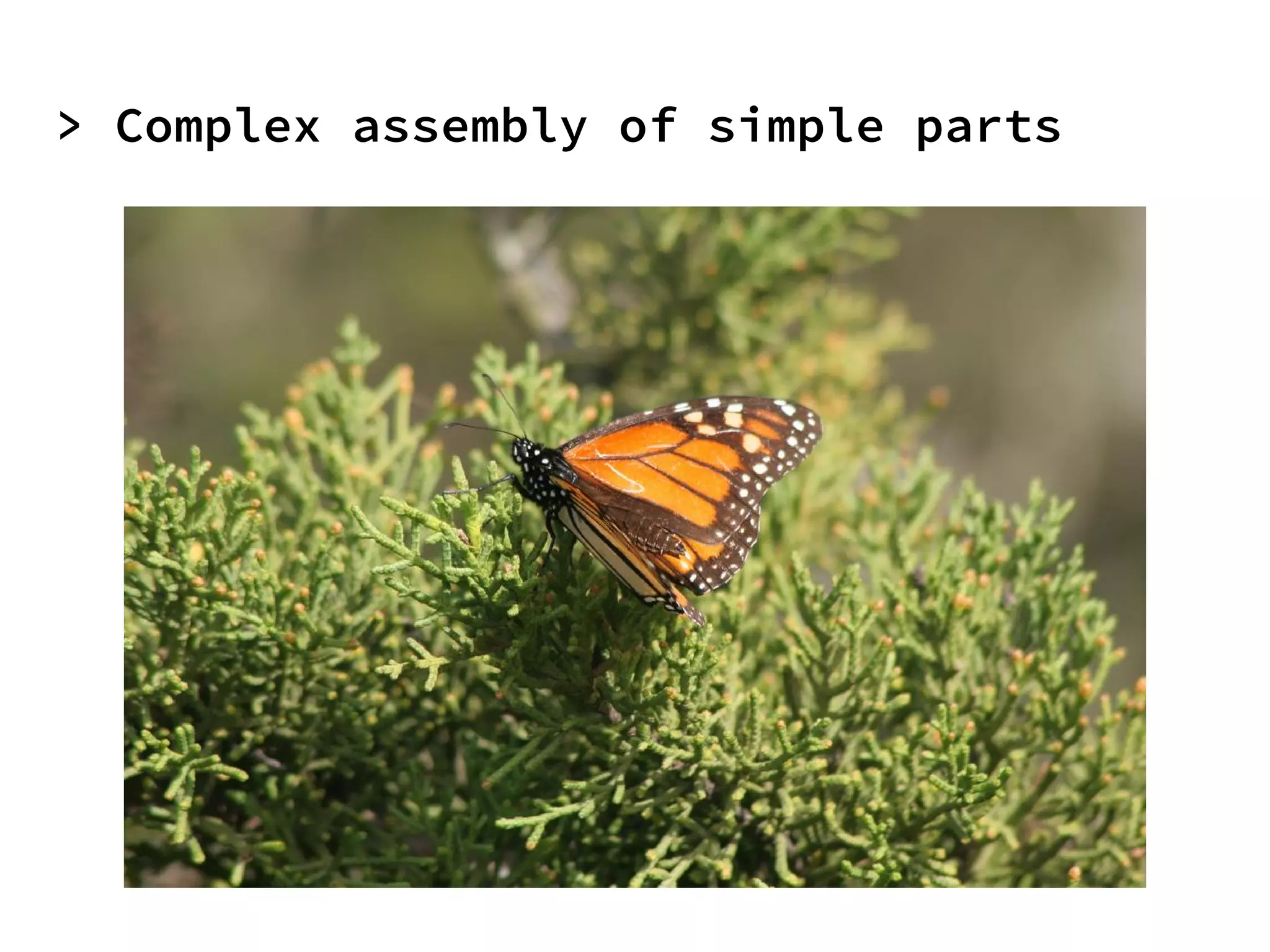 > Complex assembly of simple parts
 