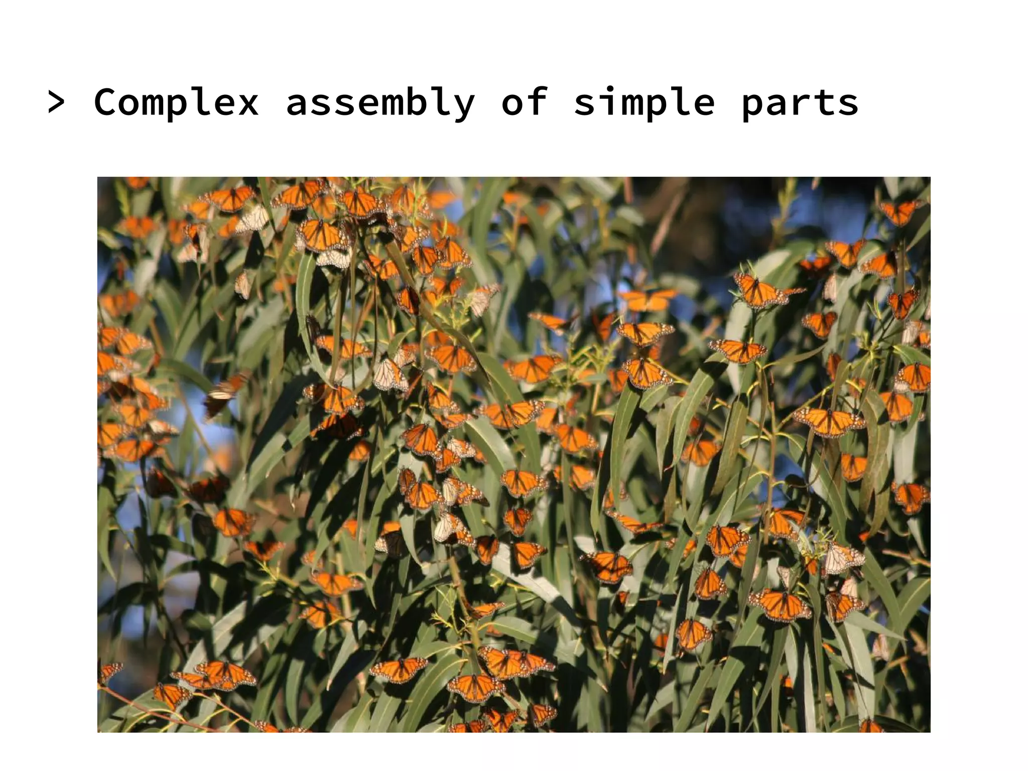 > Complex assembly of simple parts
 
