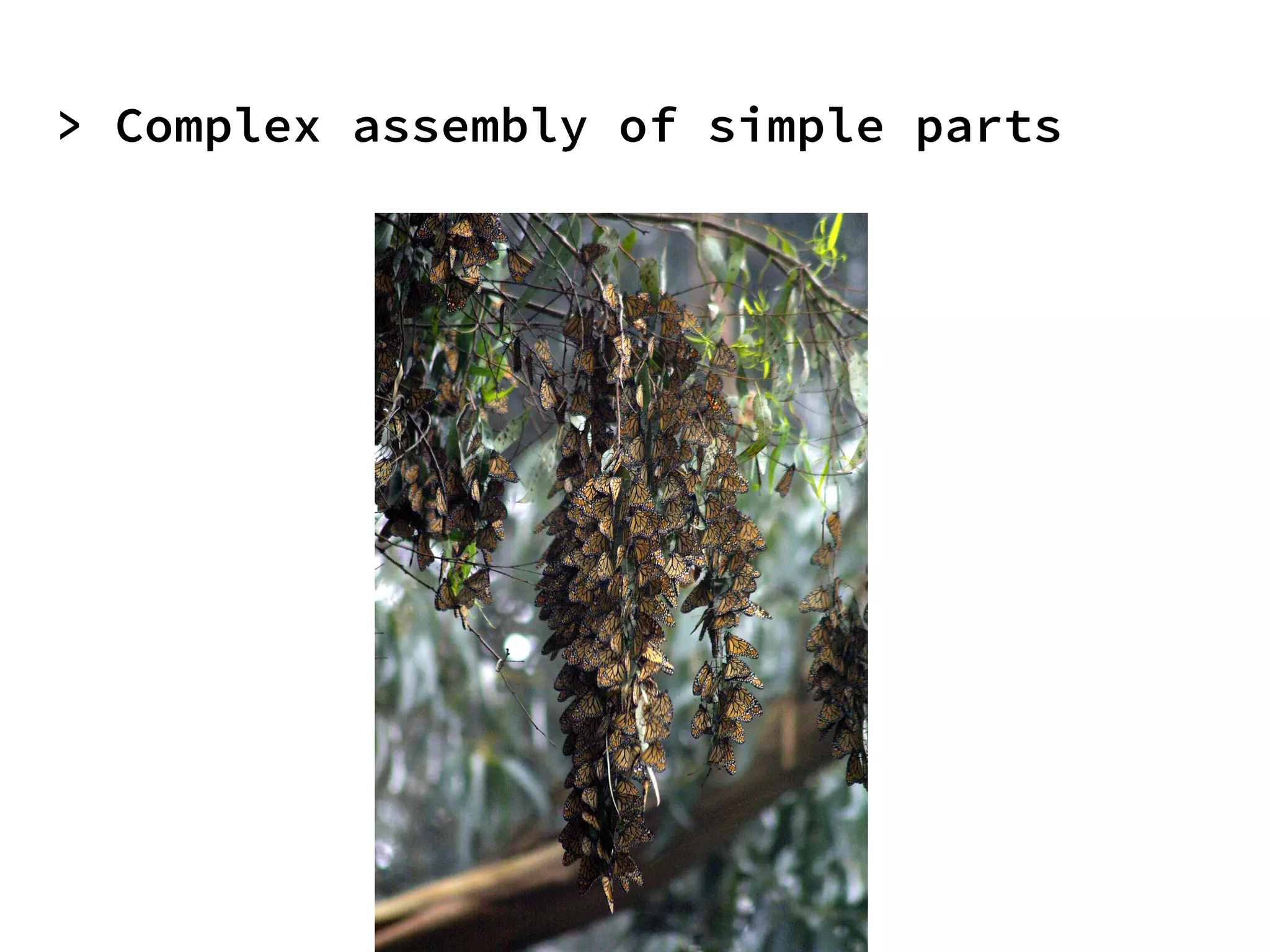 > Complex assembly of simple parts
 