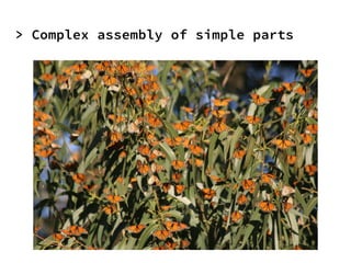 > Complex assembly of simple parts
 