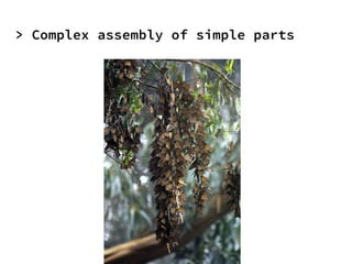 > Complex assembly of simple parts
 