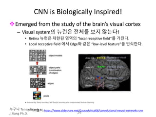 누구나 TensorFlow!
J. Kang Ph.D.
CNN is Biologically Inspired!
Emerged from the study of the brain’s visual cortex
– Visual system의 뉴런은 전체를 보지 않는다!
• Retina 뉴런은 제한된 영역의 “local receptive field”를 가진다.
• Local receptive field 에서 Edge와 같은 “low-level feature”를 인식한다.
29
이미지출처: https://www.slideshare.net/GauravMittal68/convolutional-neural-networks-cnn
 