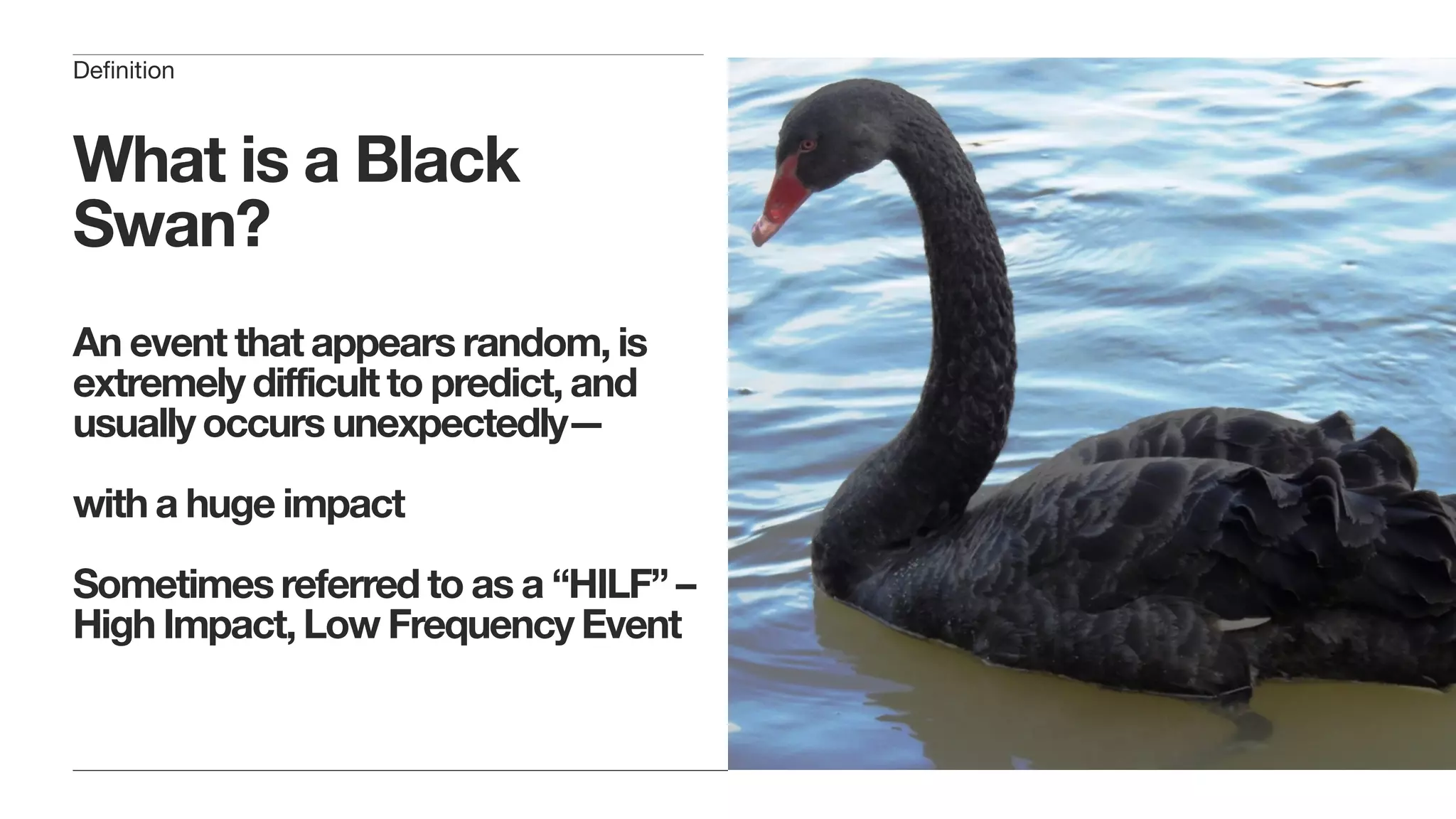 What is a Black
Swan?
An event that appears random, is
extremely difficult to predict, and
usually occurs unexpectedly—
with a huge impact
Sometimes referred to as a “HILF” –
High Impact, Low Frequency Event
Definition
 
