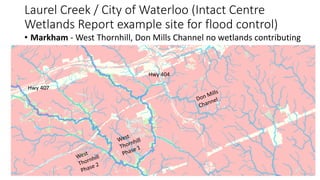 Wetland Flood Reduction - Distribution of Wetland Features and