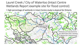 Laurel Creek / City of Waterloo (Intact Centre
Wetlands Report example site for flood control)
• High percentage of wetlan...