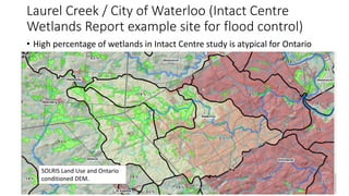 Laurel Creek / City of Waterloo (Intact Centre
Wetlands Report example site for flood control)
• High percentage of wetlan...