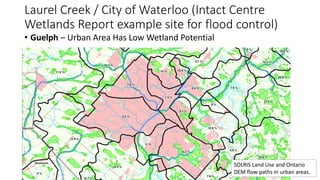 Wetland Flood Reduction - Distribution of Wetland Features and