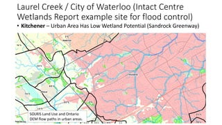 Wetland Flood Reduction - Distribution of Wetland Features and
