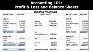 Accounting 101:
Profit & Loss and Balance Sheets
 