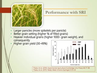 Performance with SRI
• Larger panicles (more spikelets per panicle)
• Better grain setting (higher % of filled grains)
• H...