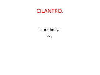 CILANTRO.

Laura Anaya
    7-3
 